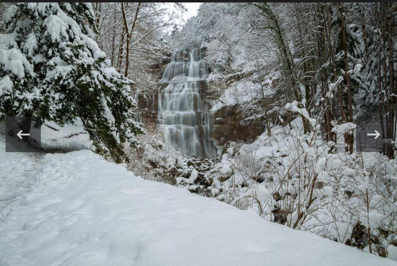 La Jurassienne Villa Champagnole Buitenkant foto
